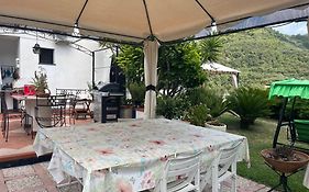 B&B Claro De Luna